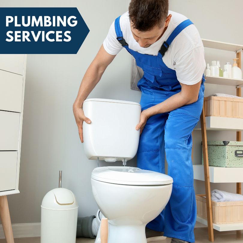Plumbing Company in Mcdermitt, NV